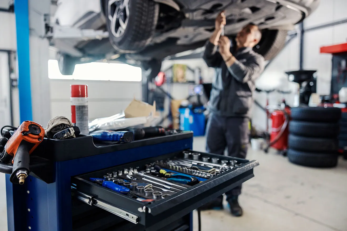 Auto Pro Việt Nam
